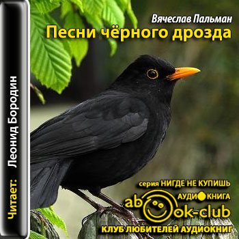 Песня дрозда. Пальман песнь черного дрозда. Черный Дрозд песня. Песни черного дрозда книга.