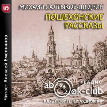 М аудио рассказ. Пошехонские рассказы Салтыков-Щедрин. Пошехонская старина (Салтыков-Щедрин м. е., 1889. Пошехонская старина Салтыков-Щедрин обложка.