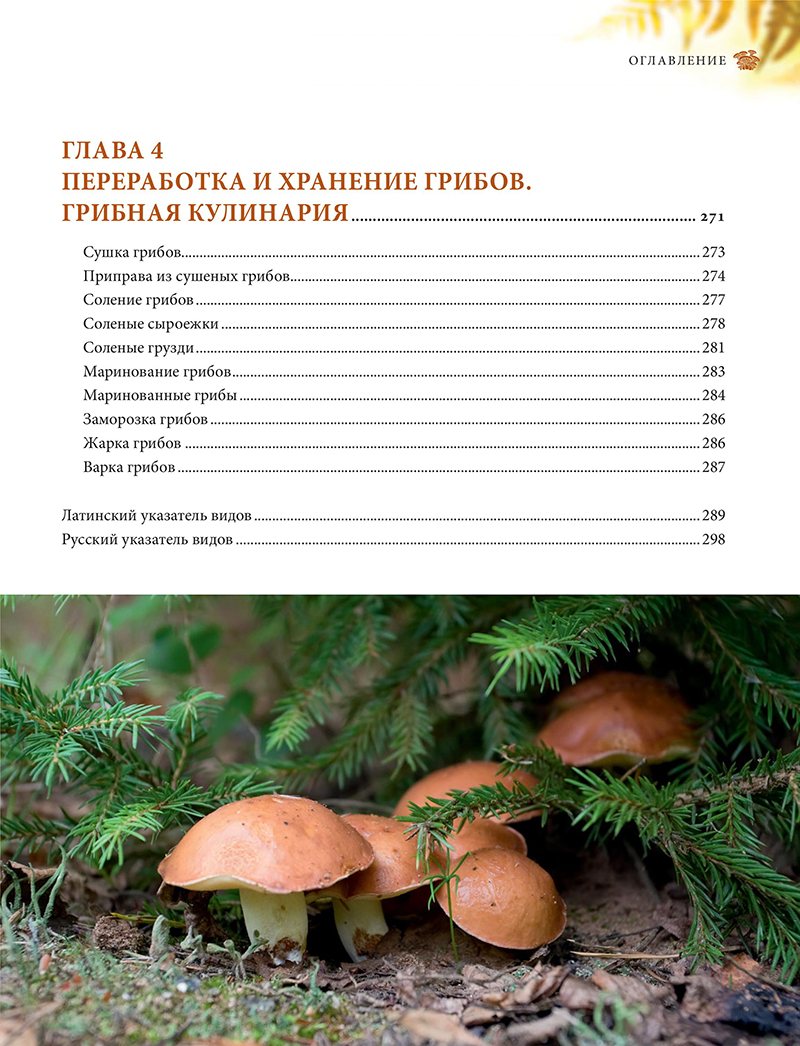 Справочник pdf. Иллюстрированные руководства по грибам. Правила хранения грибов. Книга грибы Саратовской области. Книга грибов дзен.